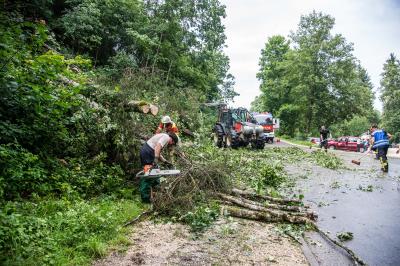 Hayingen: 3 grosse Baeume stuerzen auf Weg zur Wimsener Hoehle - Feuerwehr beseitigt Sturmschaden
